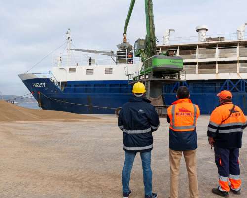 Operarios en puerto descargando maquinaria