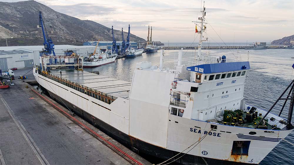 Barco puerto sea rose