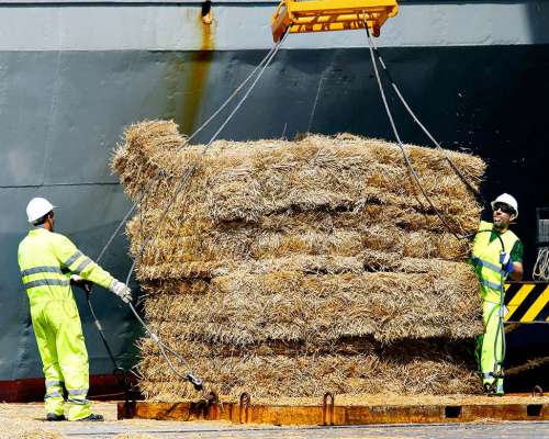 Carga y descarga en puerto